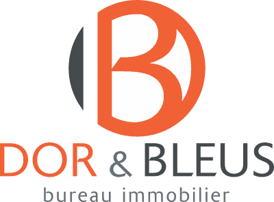 Logo de Dor & Bleus