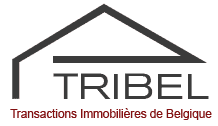 Tribel agence immobilière